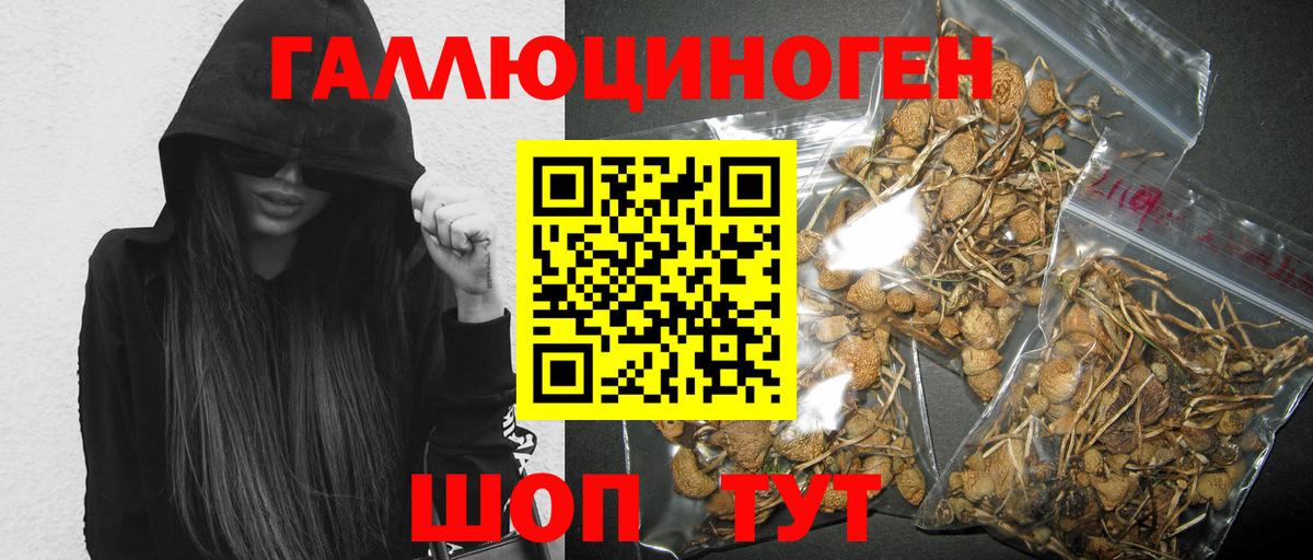 Самара  Галлюциногенные грибы GOLDEN TEACHER  закладки  Вход с VPN 