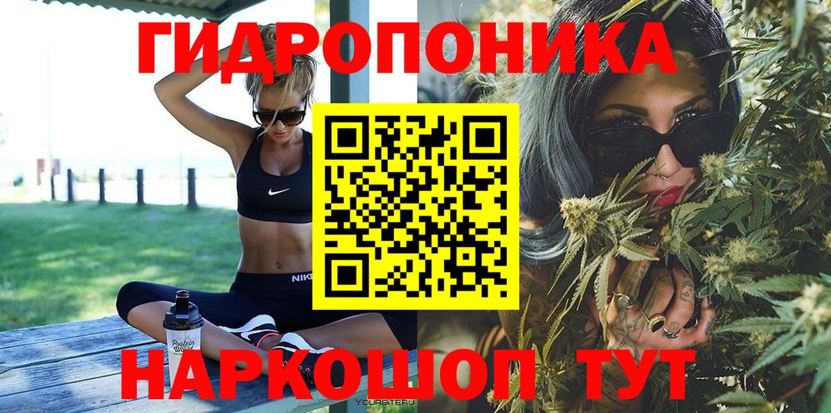 Каннабис OG Kush Самара